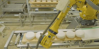 Para mejorar la producción del queso, Amalthea utiliza la solución IA integrada de Infor